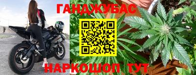 прущие крисы Гусев