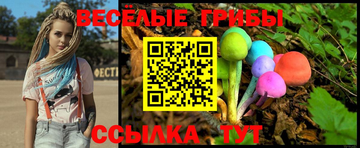 Галлюциногенные грибы ЛСД Мегион